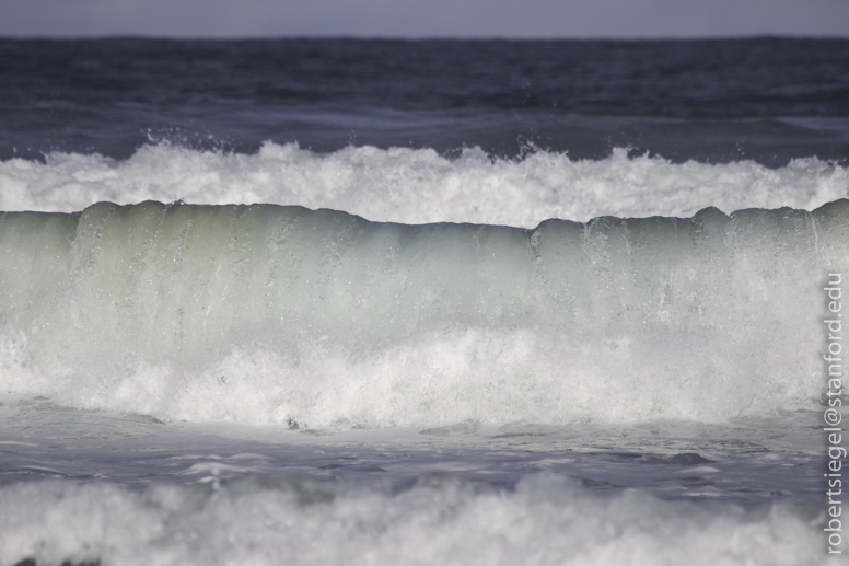 rolling in the waves